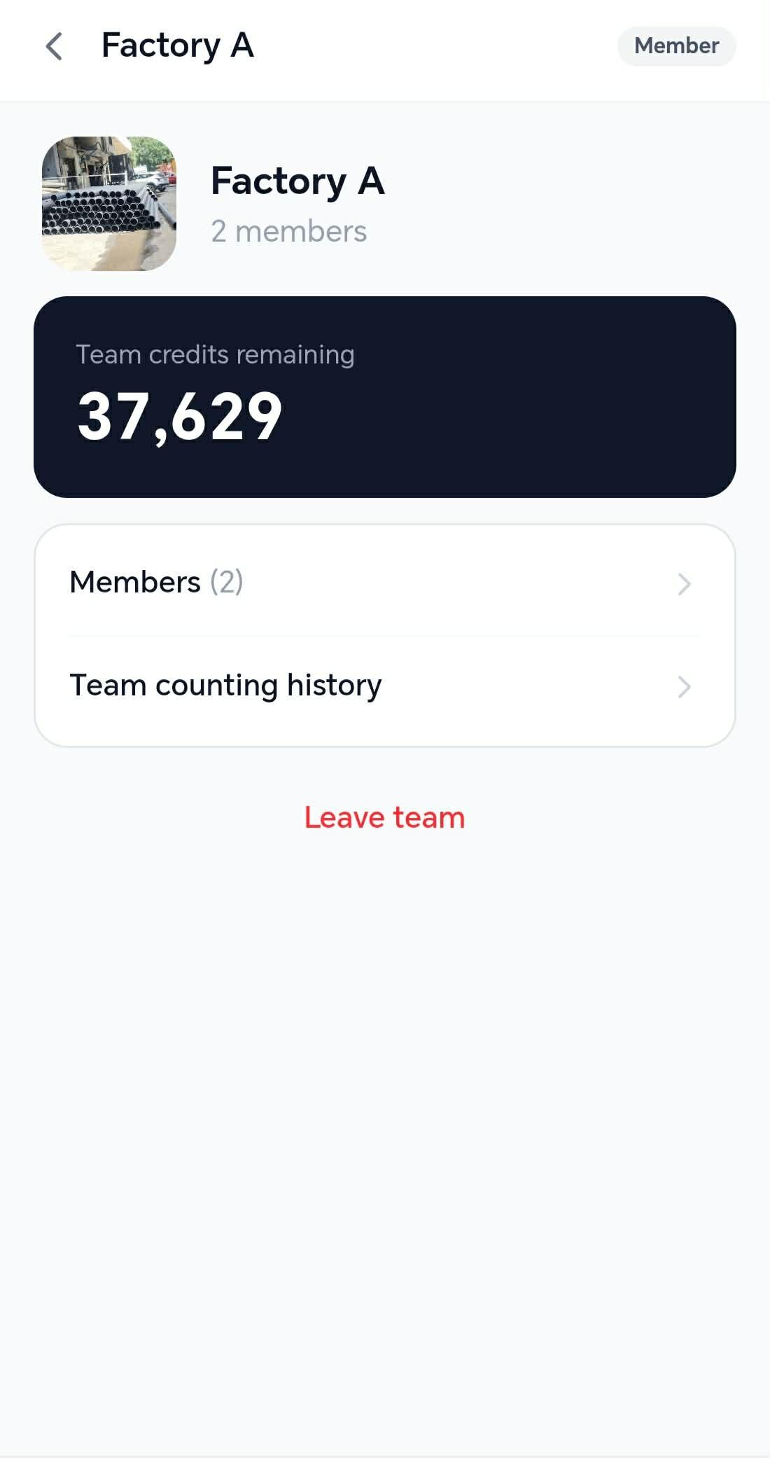 Team detail screen